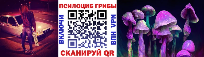 Псилоцибиновые грибы Psilocybe  где купить наркоту  мориарти официальный сайт  Магадан 